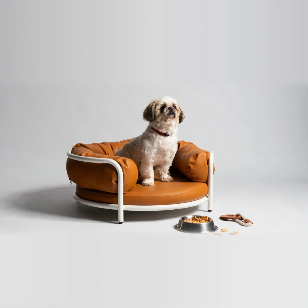 Cama Donna (Edición especial mascotas)