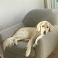 Poltrona Lucy