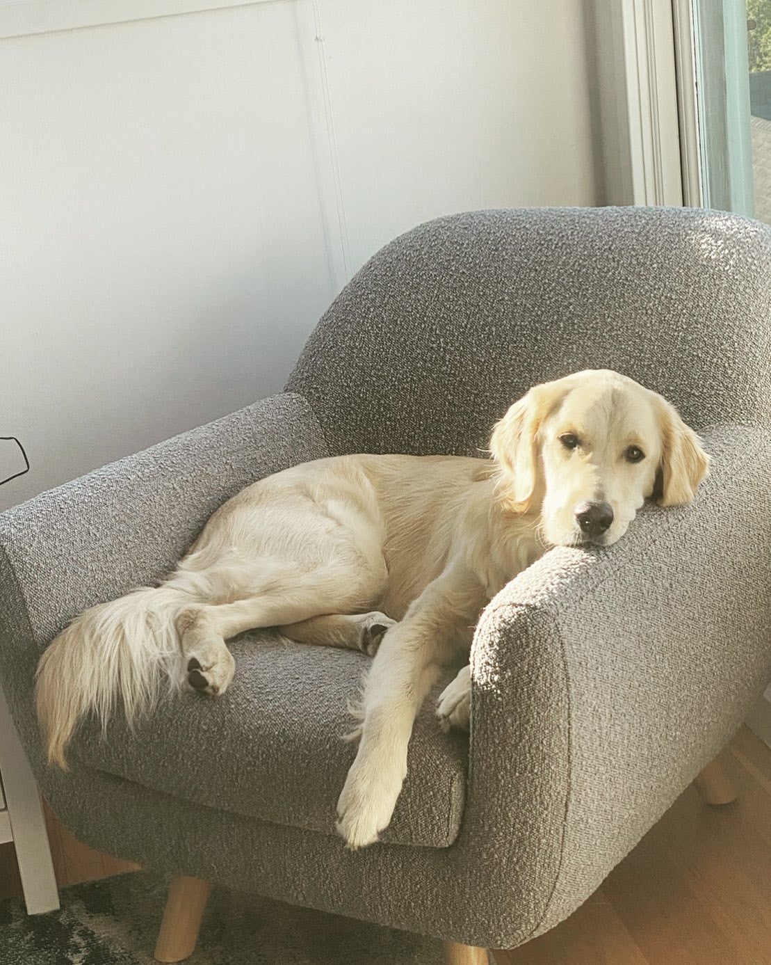 Poltrona Lucy